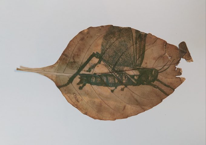 Santiago Andrés Cadavid Tabares