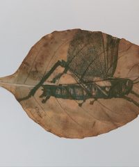 Santiago Andrés Cadavid Tabares